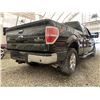 Image 14 : F3 --  2014 FORD F150 SUPERCREW 4X4, Green, 291,522 KM