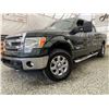 Image 1 : F3 --  2014 FORD F150 SUPERCREW 4X4, Green, 291,522 KM