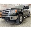 Image 2 : F3 --  2014 FORD F150 SUPERCREW 4X4, Green, 291,522 KM