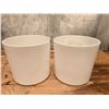 Image 1 : 2 White Ceramic Flower Pots