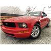 Image 1 : B1 --  2006 FORD MUSTANG, Red, 100330 KM