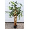 Image 1 : ARTIFICIAL BAMBOO PLANT