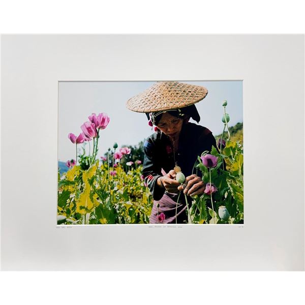 Lam Duc Hien Laos Rï¿½gion du triangle d'or Travel Flowers Asia Nature