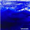 Image 2 : Untitled by Wyland Original