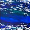 Image 2 : Untitled by Wyland Original