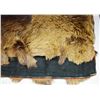 Image 2 : 1880's Native American made buffalo robe, wool back