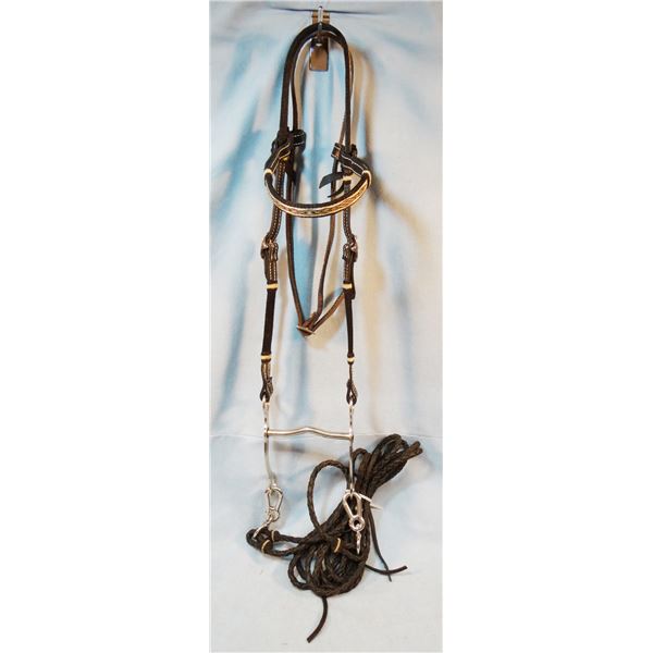 Horsehair headstall with bit and braided rope