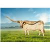 Image 1 : LLL PRETTY LADY