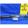 Image 10 : Non-Restricted - Winchester Model 06 in 22 S/L/LR