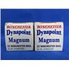 Image 2 : 22 Win. Mag 45gr Dynapoint Winchester Cartridges