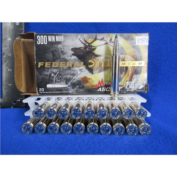 300 Win. Mag 200gr Terminal Ascent Federal Cartridges