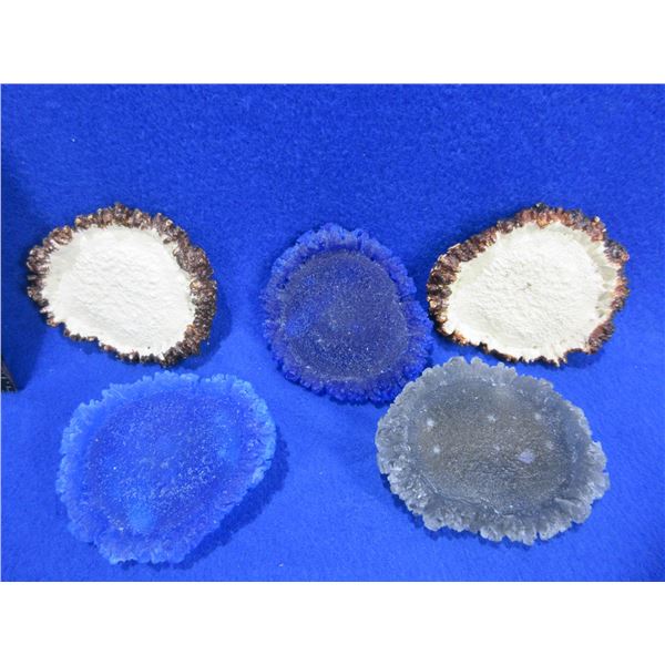 5 Handmade Cast Resin Antler Belt Buckles