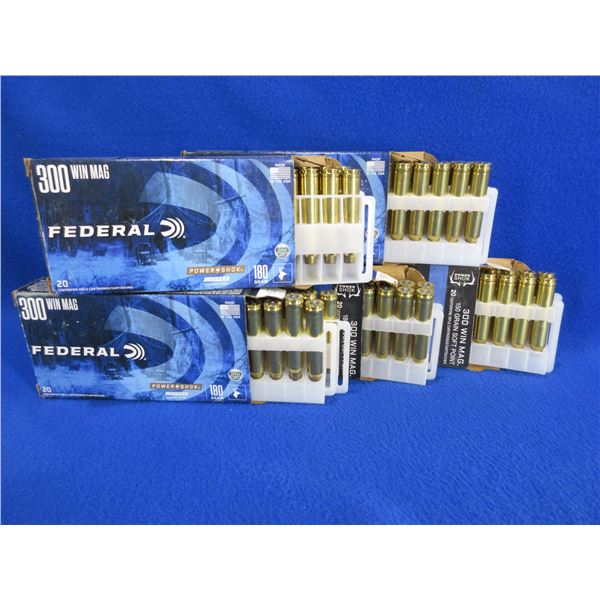 Brass Only - 300 Win. Mag Federal Headstamp Unprimed