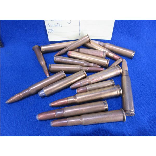 Collector Ammo - 18 Misc. Cartridges - PICK UP ONLY