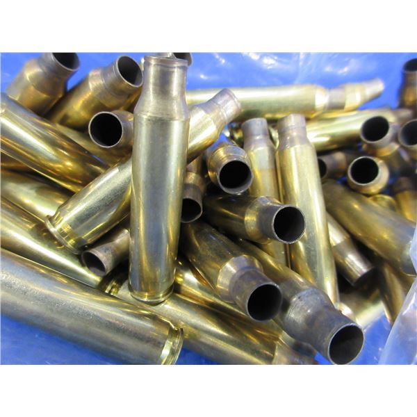 Brass Only - .223 Rem. Unprimed - Bag of 100, Bag of 50