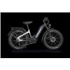Image 1 : Himiway D5 Pro Electric Bike