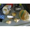 Image 1 : BAG OF SHELLS