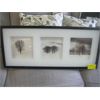 Image 1 : 3 PICTURE BOX FRAMED PICTURE