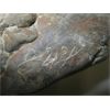 Image 2 : SIGNED ROCK CARVING OF THE SEAL