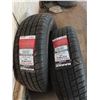 Image 2 : 2 new Radar Dimax 4 season 215/20R16 tires