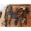 Image 1 : horse blinders , brindles