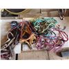 Image 1 : leads , halters , feed pail