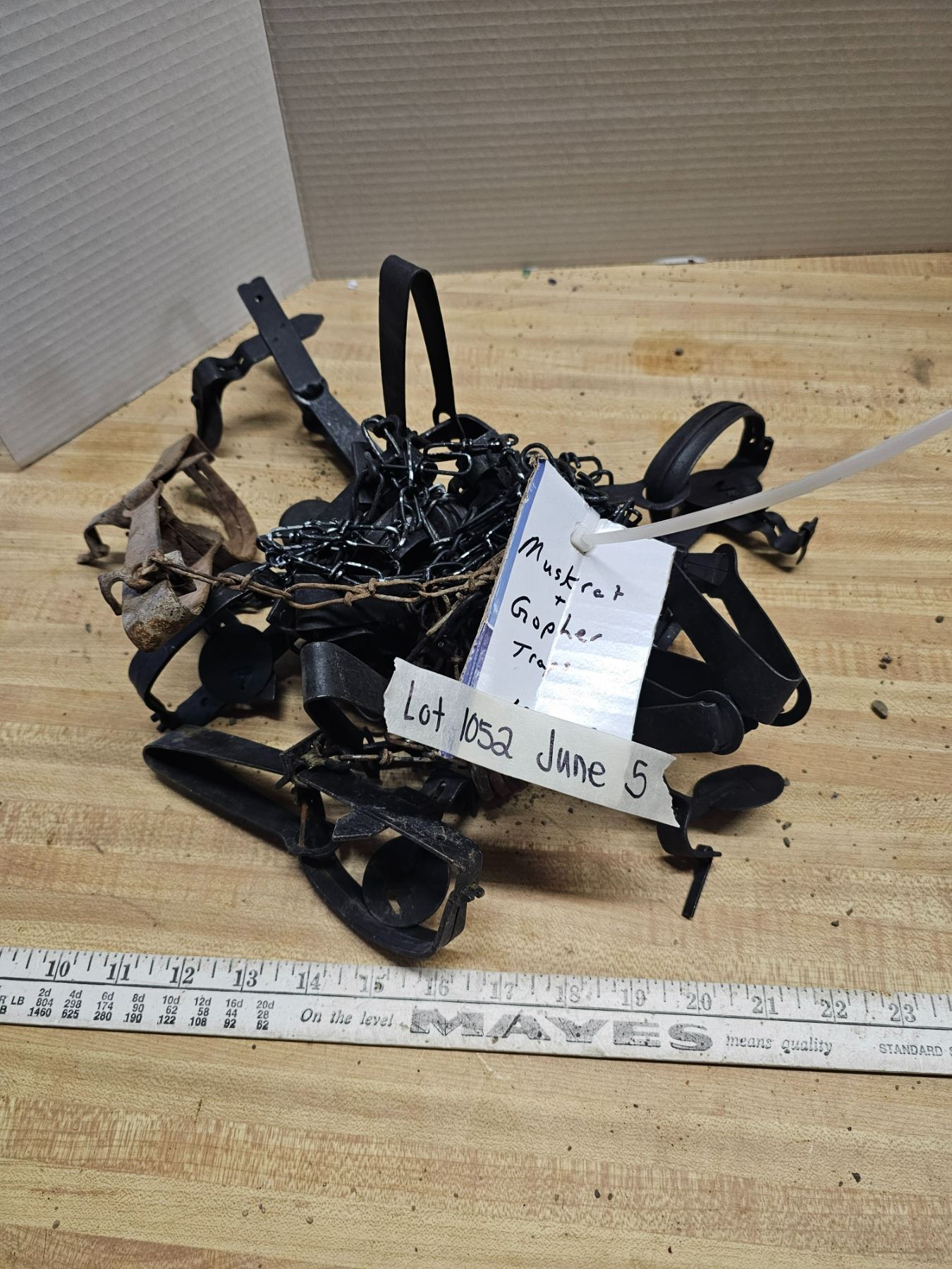 Muskrat, Groundhog, Gopher: Which One'S Destroying Your Garden? - s6oia4a