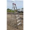 Image 1 : 8' step ladder