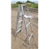 Image 1 : 5' step ladder