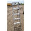 Image 2 : 5' step ladder