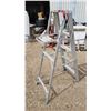 Image 3 : 5' step ladder