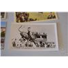Image 2 : alagary Stampede postcards