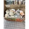 Image 3 : LARGE LOT COLLECTION OF SHELLS STONES ETC CRAFTING