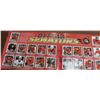 Image 5 : 2002-2003- NHL powerplay sticker collection book
