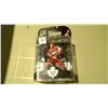 Image 1 : Mats Sundin