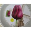 Image 2 : Tulipa the bishop plate no.1587/5000 series