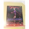 Image 1 : Vince carter slam dunk picture- 20"x16"