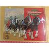 Image 1 : Budweiser- clydesdlaes- picture