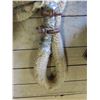 Image 2 : large tow rope