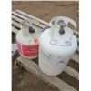 Image 2 : 2 propane tanks - 20lb and 30lb