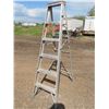6ft aluminum ladder