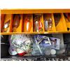 Image 4 : large tackle box with dozens of lures, jigs and extras