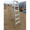 Image 1 : 6ft aluminum ladder