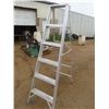 Image 3 : 6ft aluminum ladder