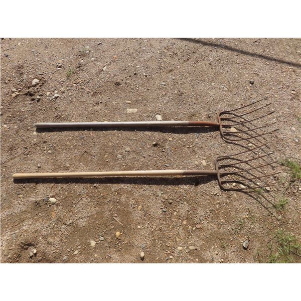 lot of 2 pitch forks