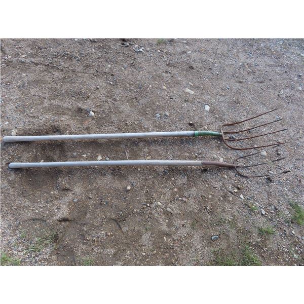 2 pitch forks