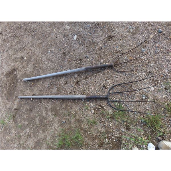 2 pitch forks