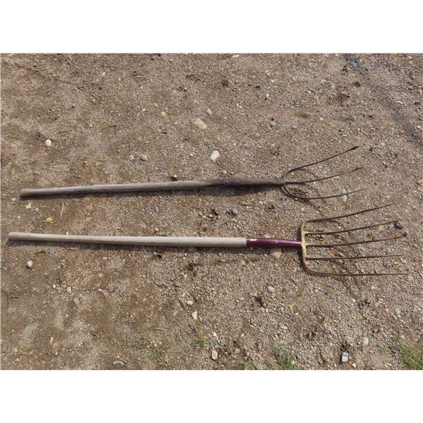 2 pitch forks