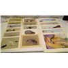 Image 1 : Misc. wildlife prints