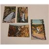 Image 1 : Never written on - four waterfall postcards from 1920's-30's - first colored postcards